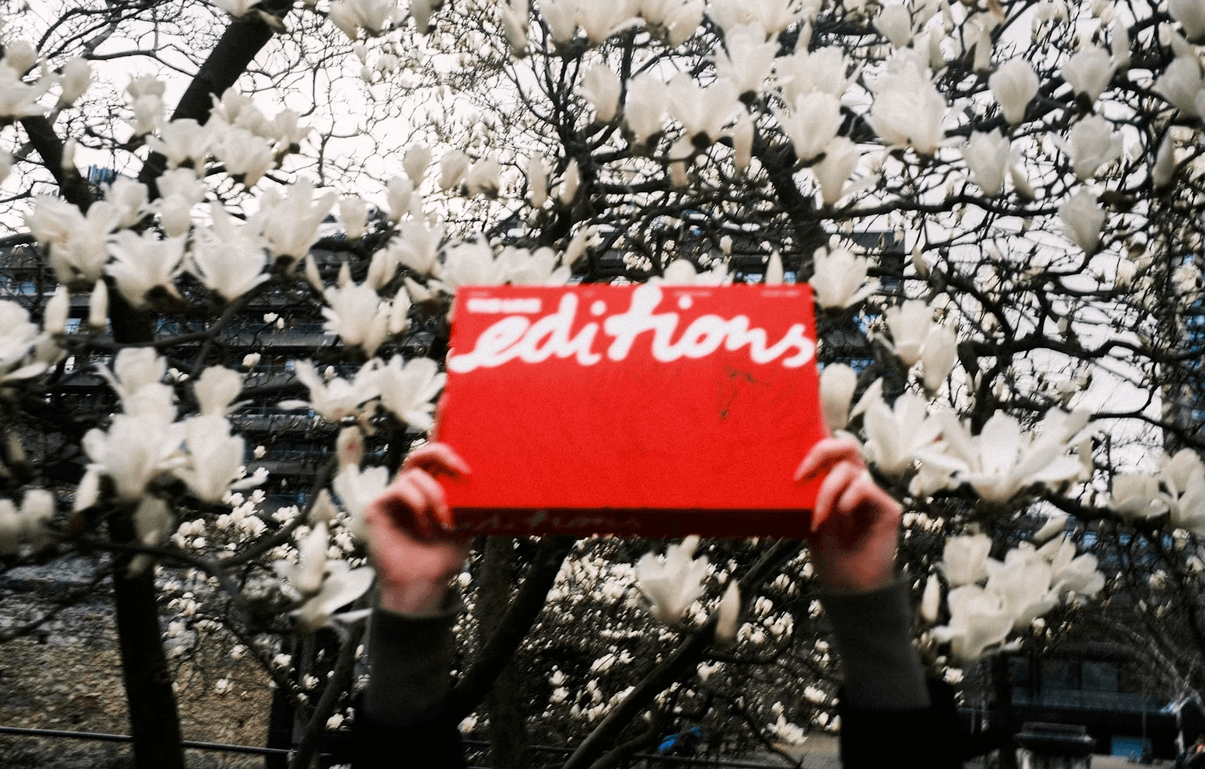 INTRODUCING/ THE LINE EDITIONS